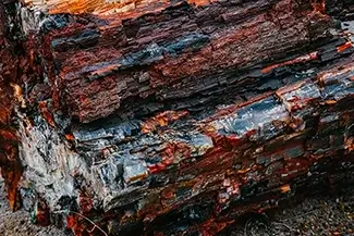 Petrified Forest National Park Spectrum Bark Cascade, Arizona