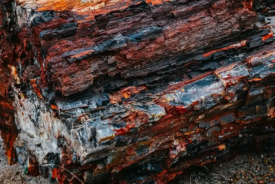 Petrified Forest National Park Spectrum Bark Cascade, Arizona · United States