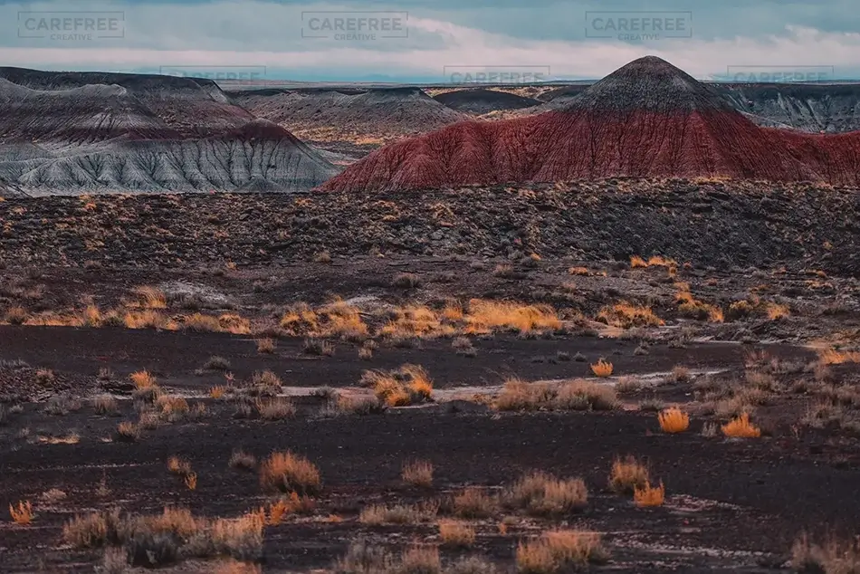 Petrified Forest National Park Barren Landscape with Red Accents, Arizona · United States