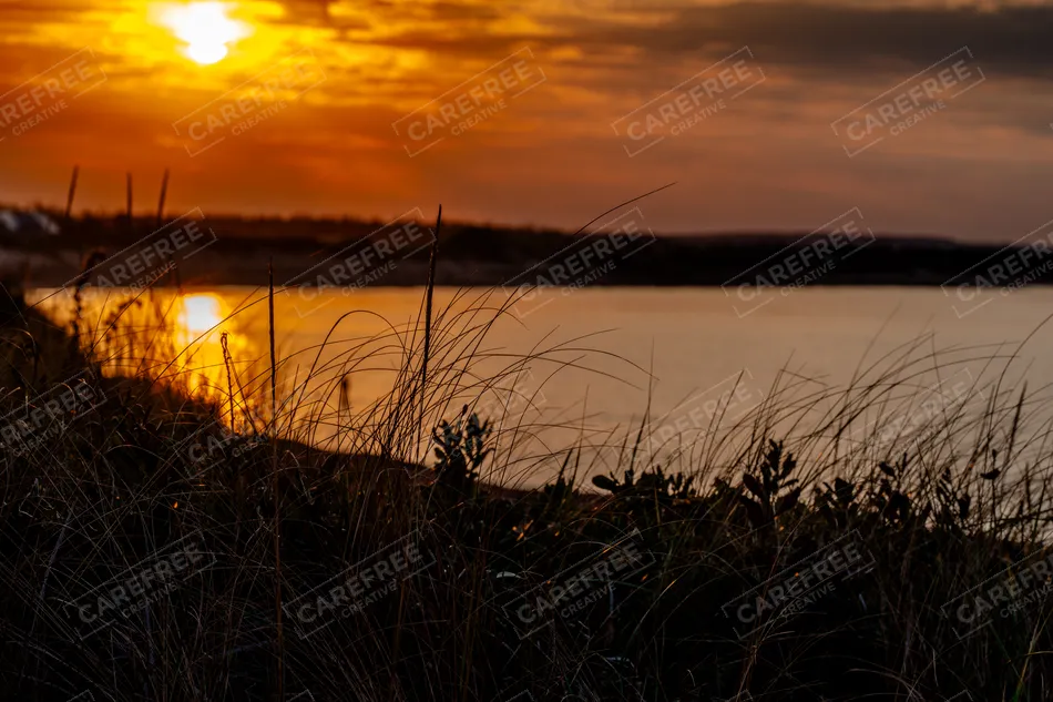 Prince Edward Island National Park Golden Sunset Over Water, Charlottetown, Prince Edward Island · Canada