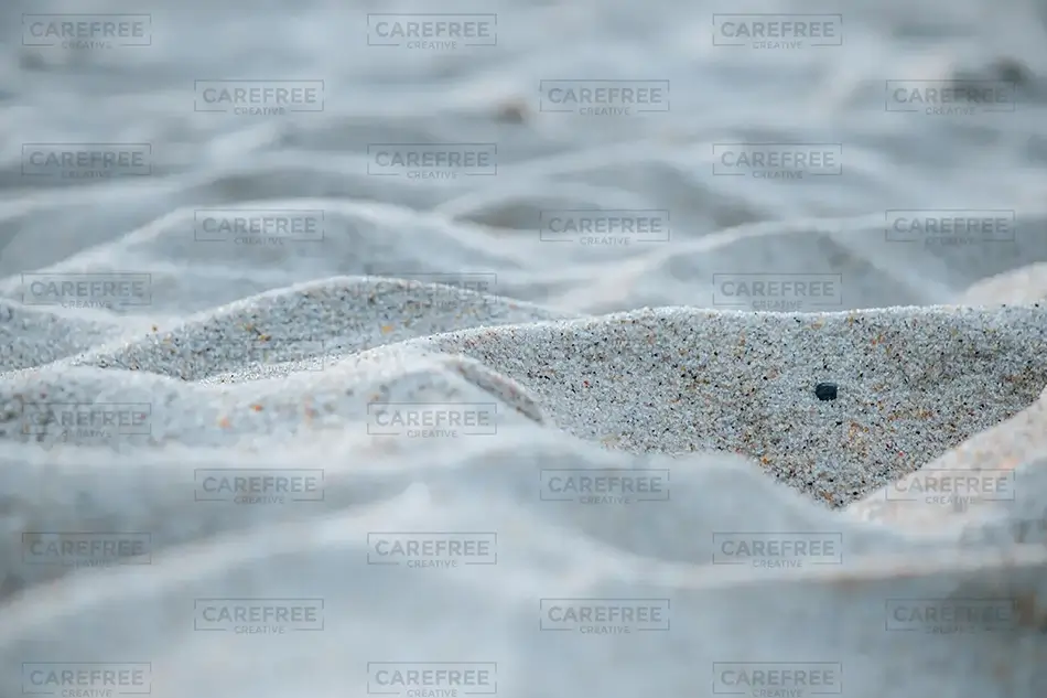 Racepoint Beach Sandscape
