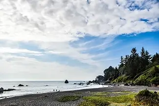 Redwoods National Park Coastal Tranquility, California