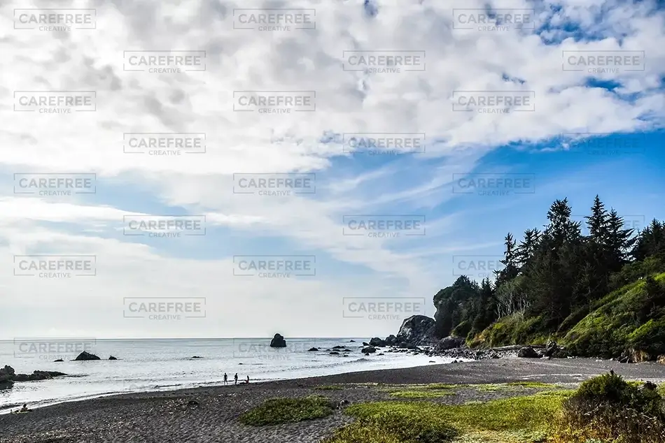 Redwoods National Park Coastal Tranquility, California · United States