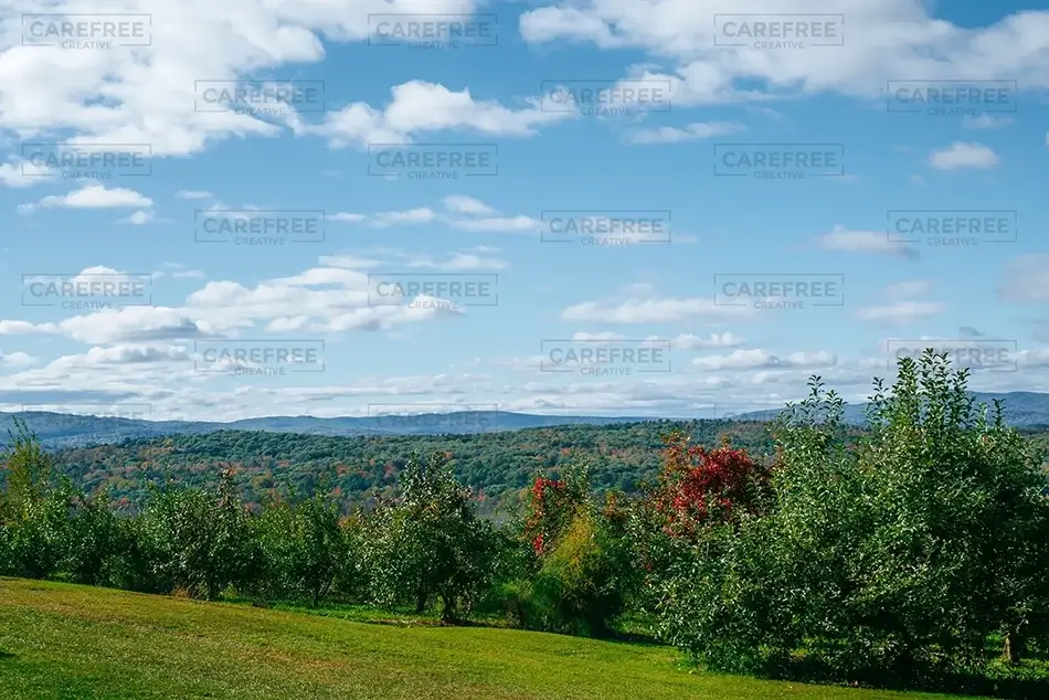 Rickers Hill Orchard Colorful Vista, Turner, Maine · United States