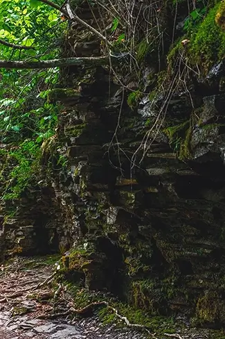 Ricketts Glen State Park Stone Wall, Benton, Pennsylvania