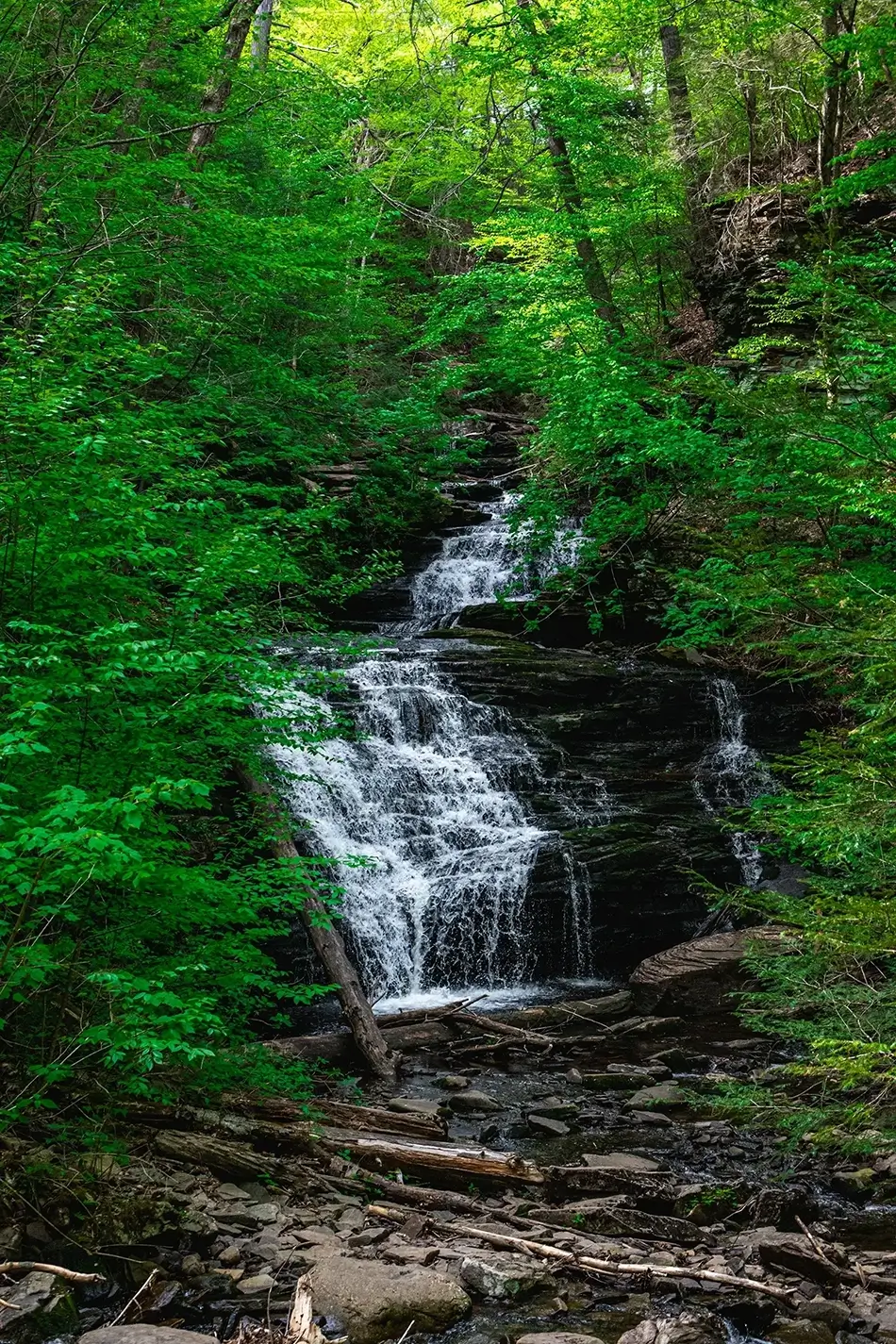 Ricketts Glen State Park Forest Cascades, Benton, Pennsylvania · United States