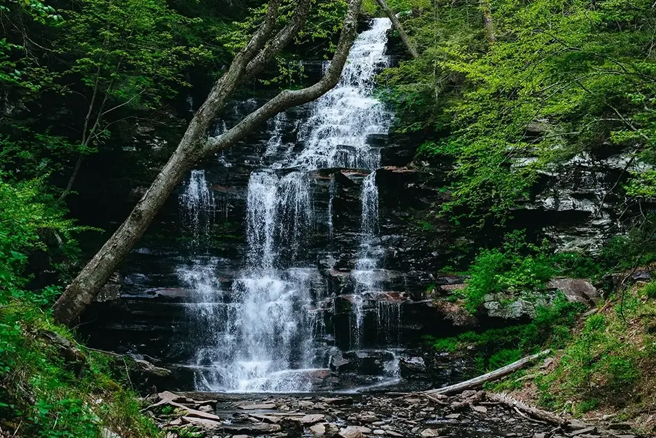 Ricketts Glen State Park Majestic Ganoga Falls, Benton, Pennsylvania · United States