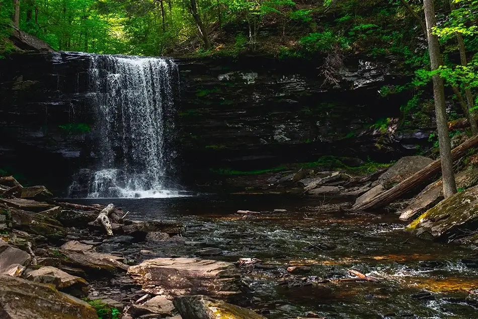 Ricketts Glen State Park Green Canopy Waterfall, Benton, Pennsylvania · United States