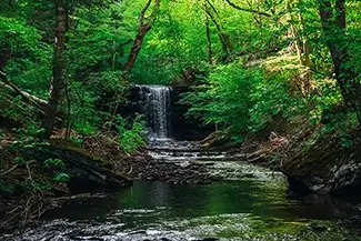 Ricketts Glen State Park Dappled Sunlight Cascade, Benton, Pennsylvania