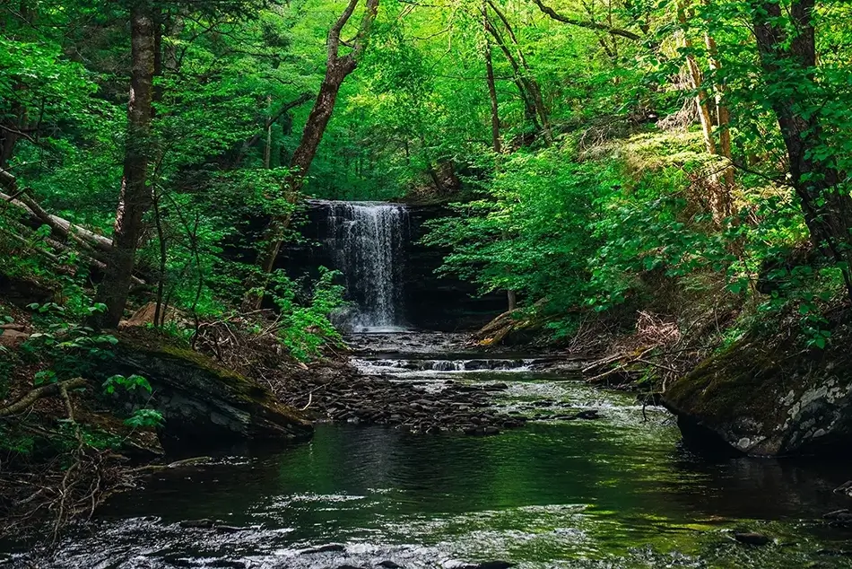 Ricketts Glen State Park Dappled Sunlight Cascade, Benton, Pennsylvania · United States