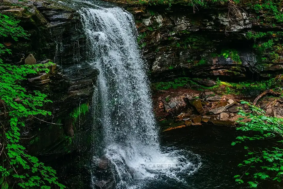 Ricketts Glen State Park Waterfall Seclusion, Benton, Pennsylvania · United States
