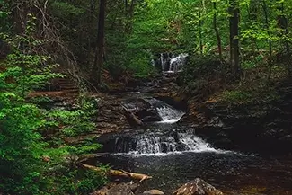 Ricketts Glen State Park Calm Waterfall, Benton, Pennsylvania