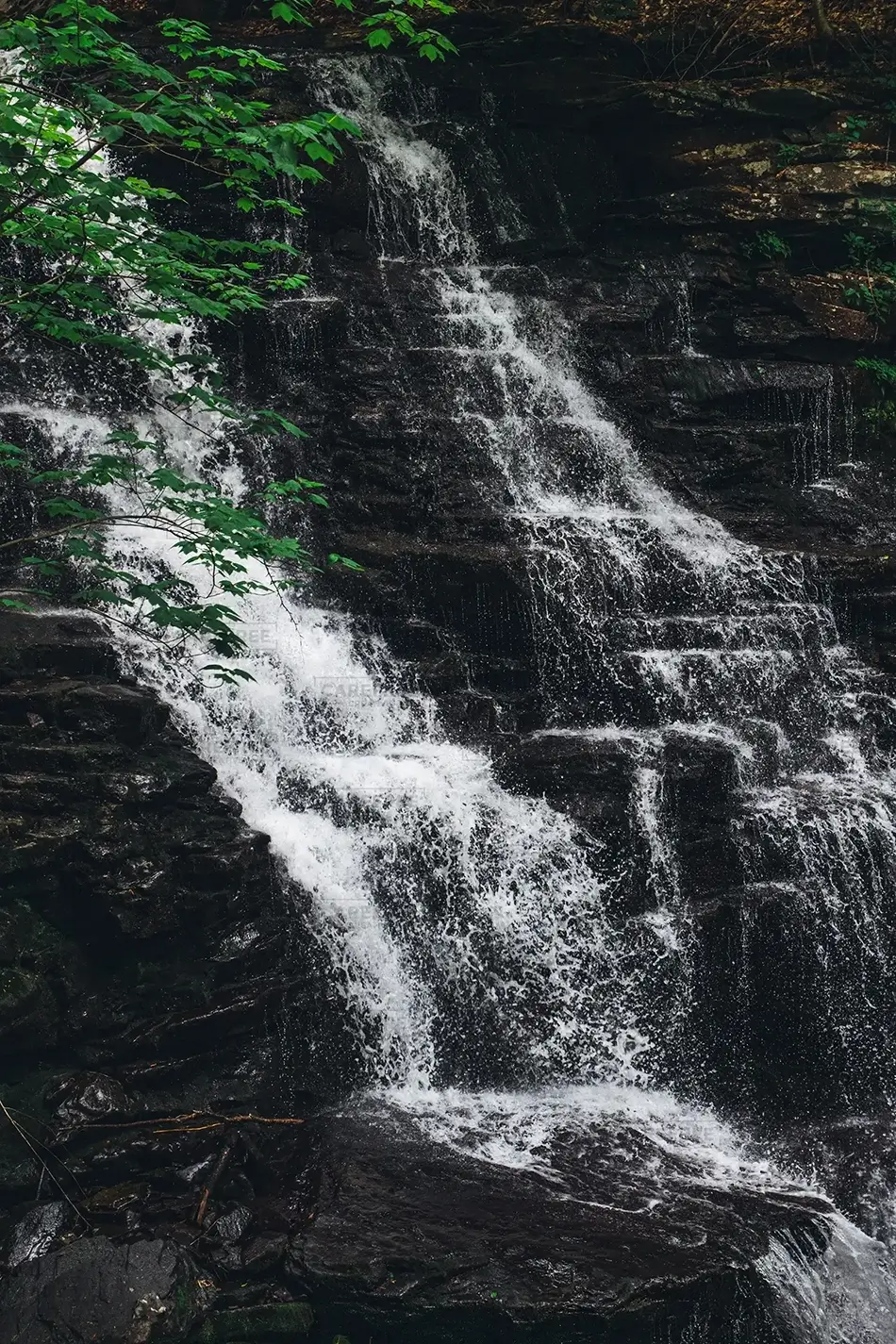 Ricketts Glen State Park Angled Cascade, Benton, Pennsylvania · United States