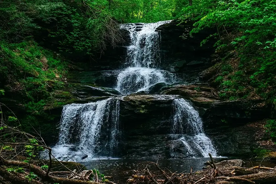 Ricketts Glen State Park Terraced Waterfall, Benton, Pennsylvania · United States