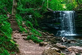 Ricketts Glen State Park Peaceful Trail, Benton, Pennsylvania