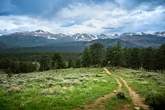 Rocky Mountain National Park Road To The Forest, Estes Park, Colorado