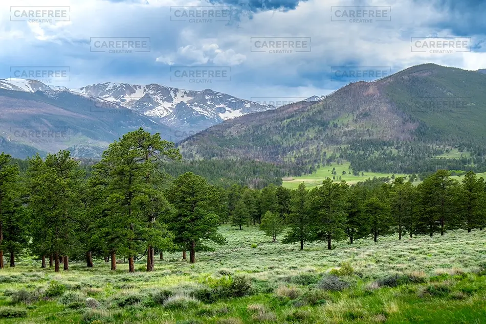 Rocky Mountain National Park Mountain Backdrop, Estes Park, Colorado · United States