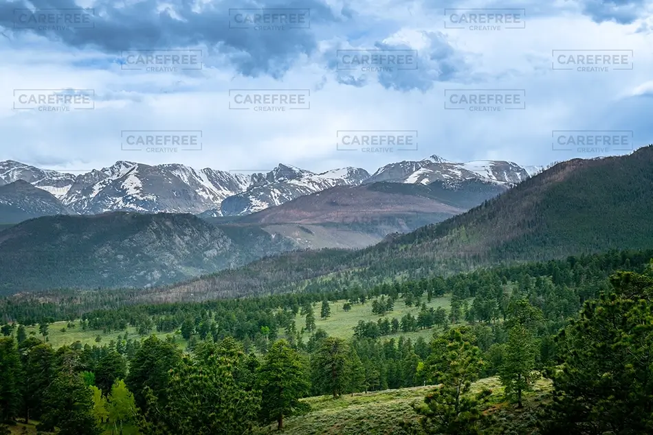 Rocky Mountain National Park Forest And Mountains, Estes Park, Colorado · United States