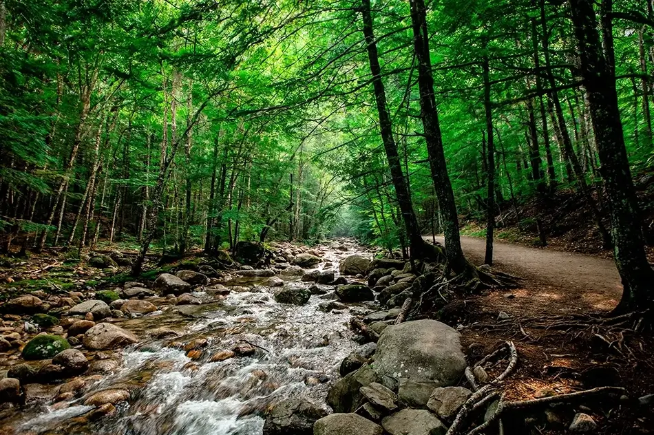 Sabbaday Falls Babbling Brook