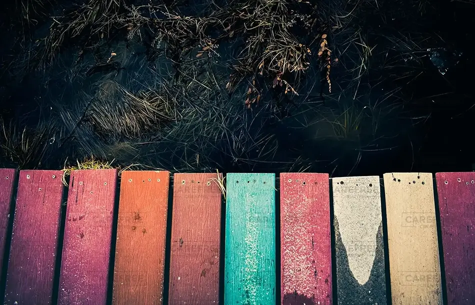 Saco Heath Preserve Colorful Pathway Art, Saco, Maine · United States