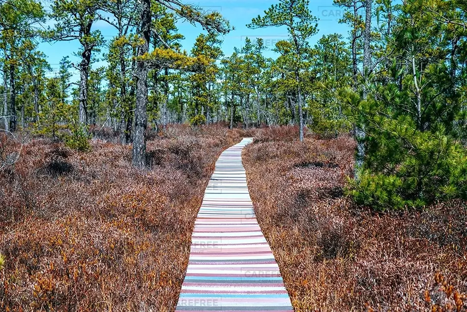 Saco Heath Preserve Boardwalk Trail, Saco, Maine · United States