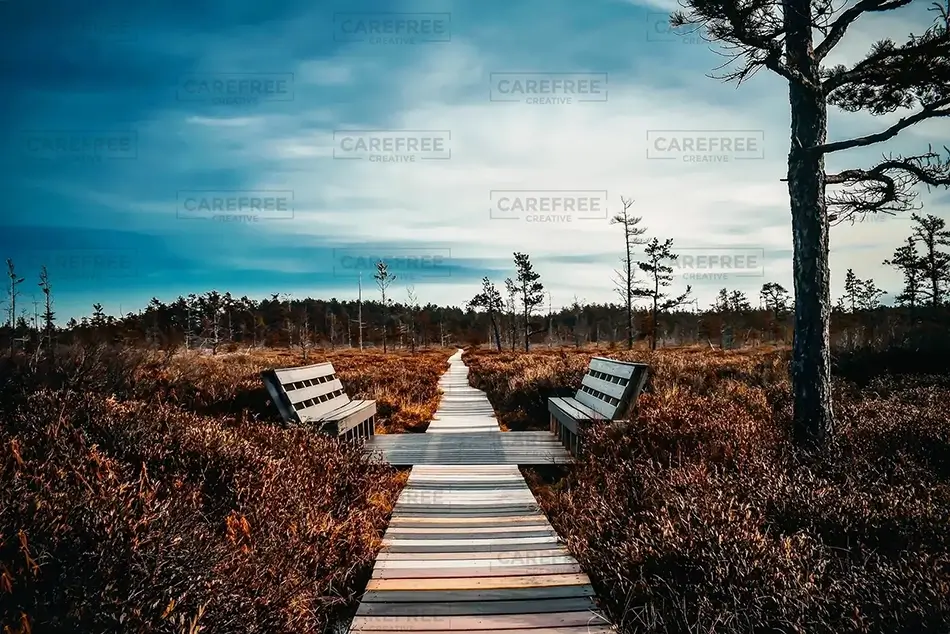 Saco Heath Preserve Restful Benches Along the Trail, Saco, Maine · United States