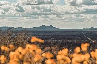 Saguaro National Park Mountain Vista, Arizona