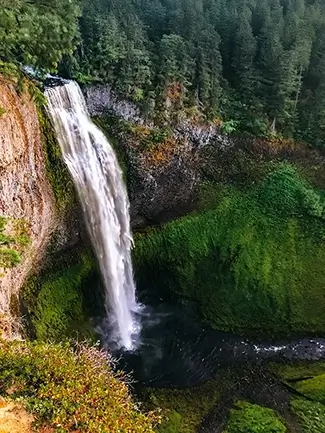 Salt Creek Falls Verdant Frame, Oakridge, Oregon