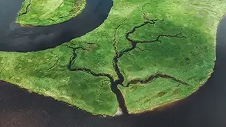 Scarborough Marsh Green Wetland Patterns, Scarborough, Maine