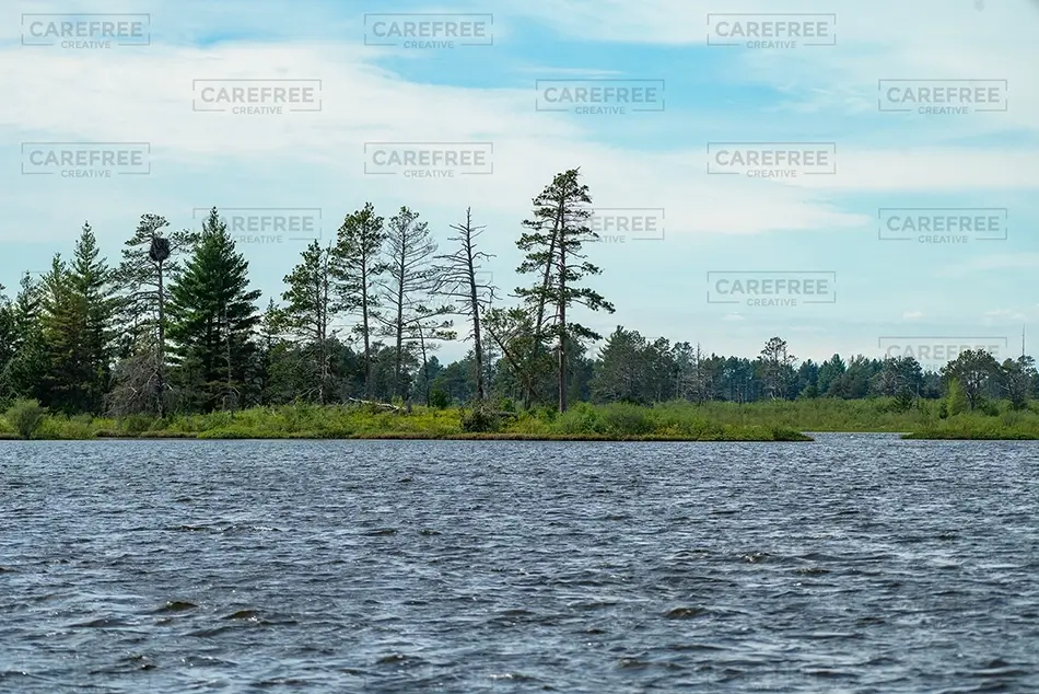 Seney National Wildlife Refuge Pine Trees Along Lake, Germfask, Michigan · United States