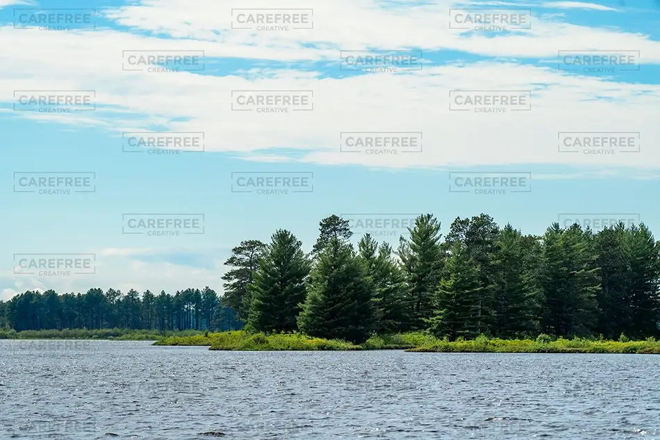 Seney National Wildlife Refuge Forested Lake Shoreline, Germfask, Michigan · United States