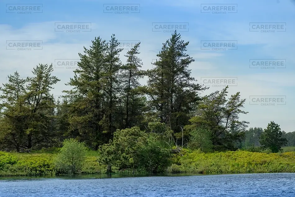 Seney National Wildlife Refuge Pines Along Water, Germfask, Michigan · United States