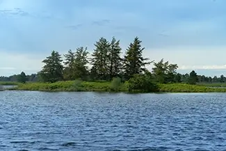 Seney National Wildlife Refuge Trees Along Water, Germfask, Michigan