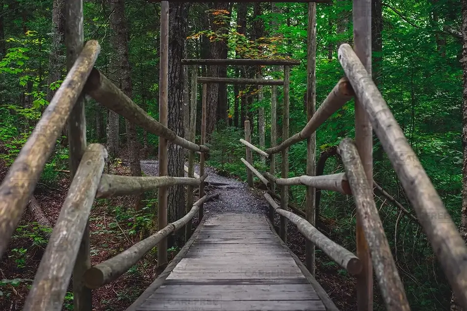 Par des Sept Chutes Rustic Wooden Bridge