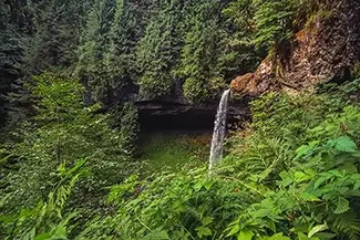 Silver Falls State Park Fern Gully, Drake Crossing, Oregon