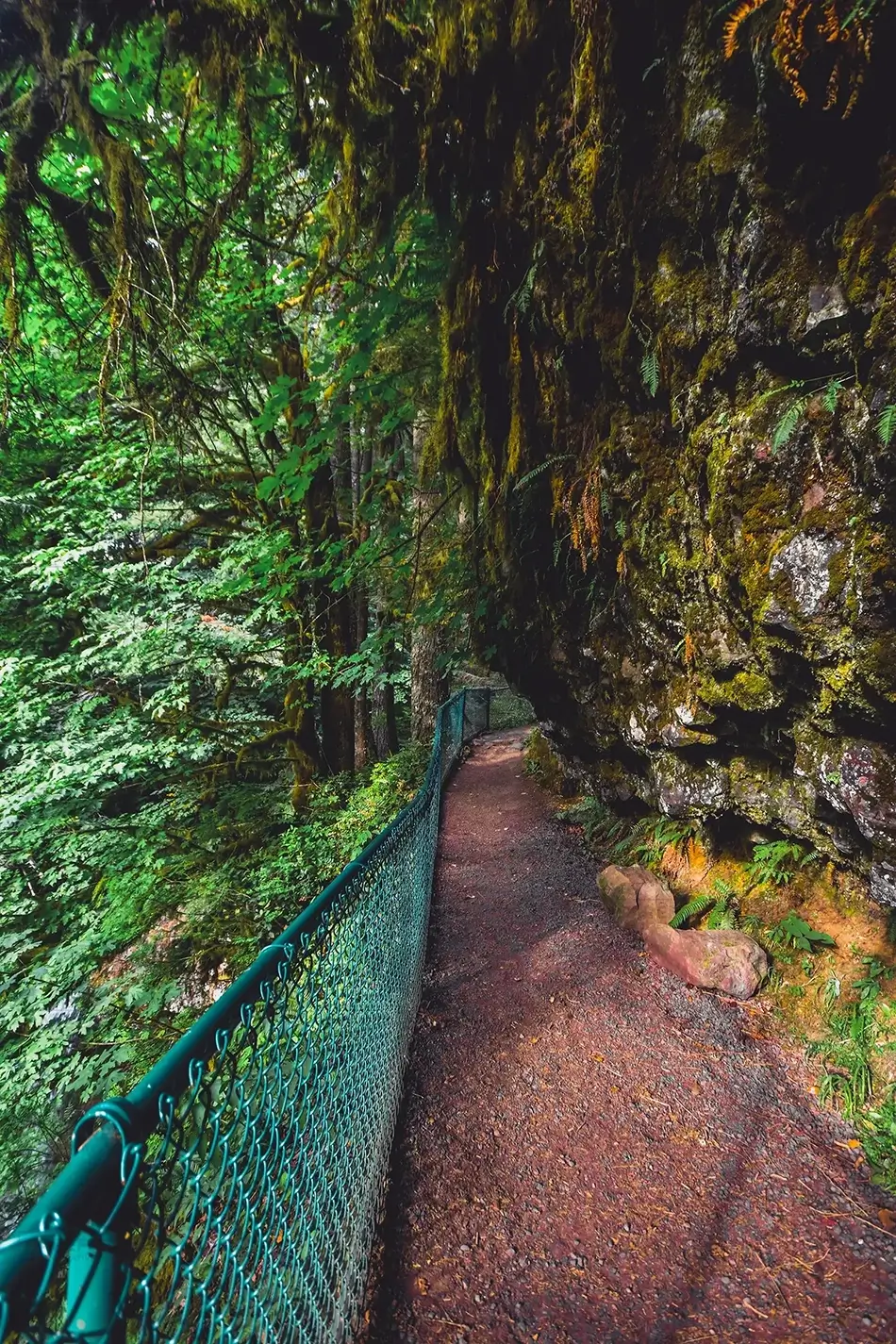 Silver Falls State Park Path Green Canopy, Drake Crossing, Oregon · United States
