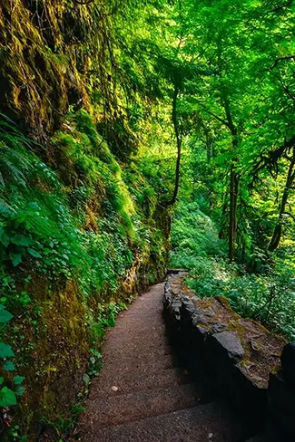 Silver Falls State Park Trail Creek, Drake Crossing, Oregon