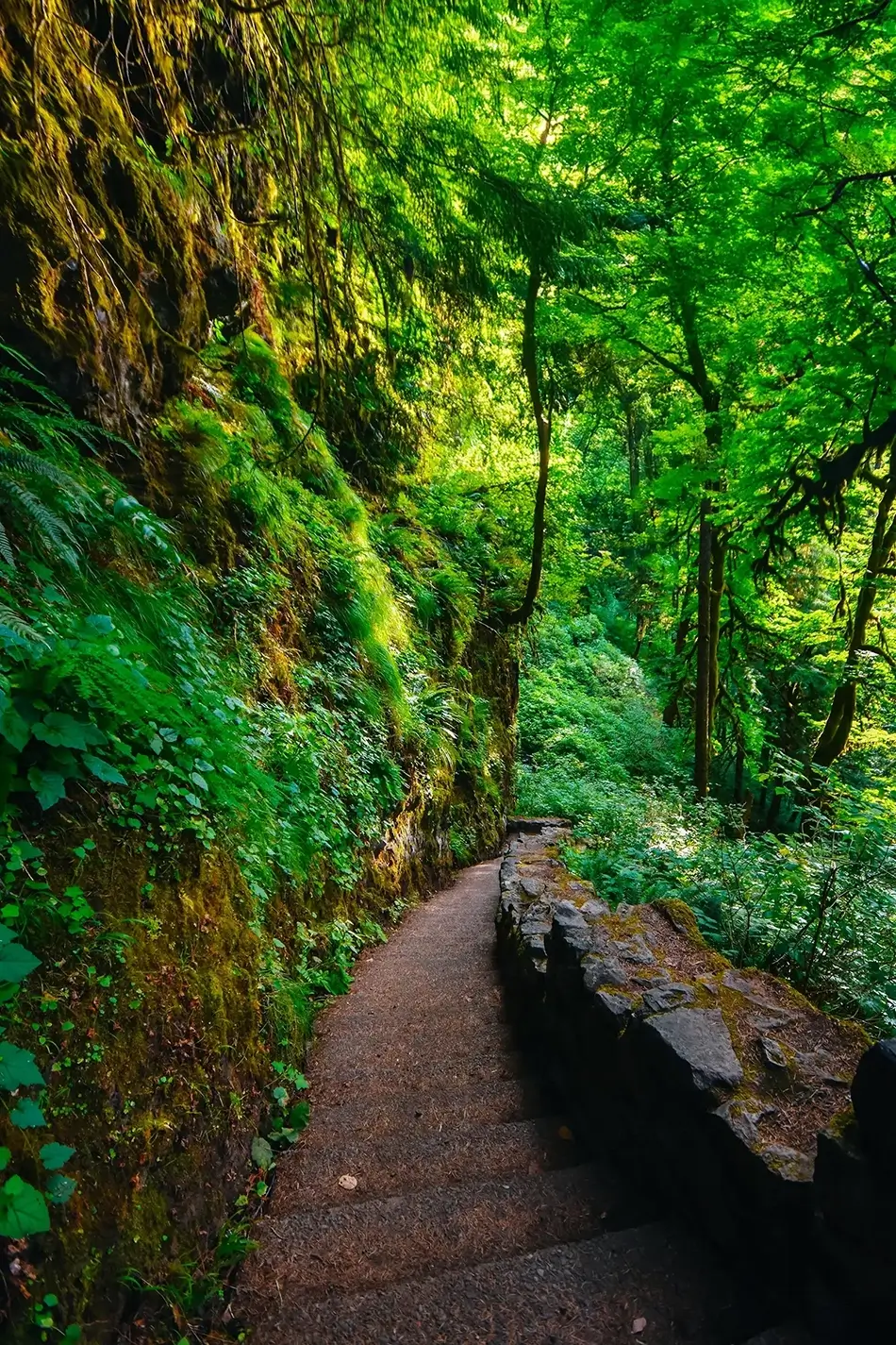 Silver Falls State Park Trail Creek, Drake Crossing, Oregon · United States