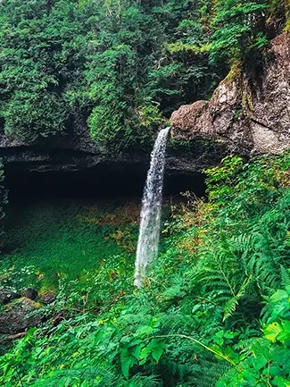 Silver Falls State Park Forest Quietude, Drake Crossing, Oregon