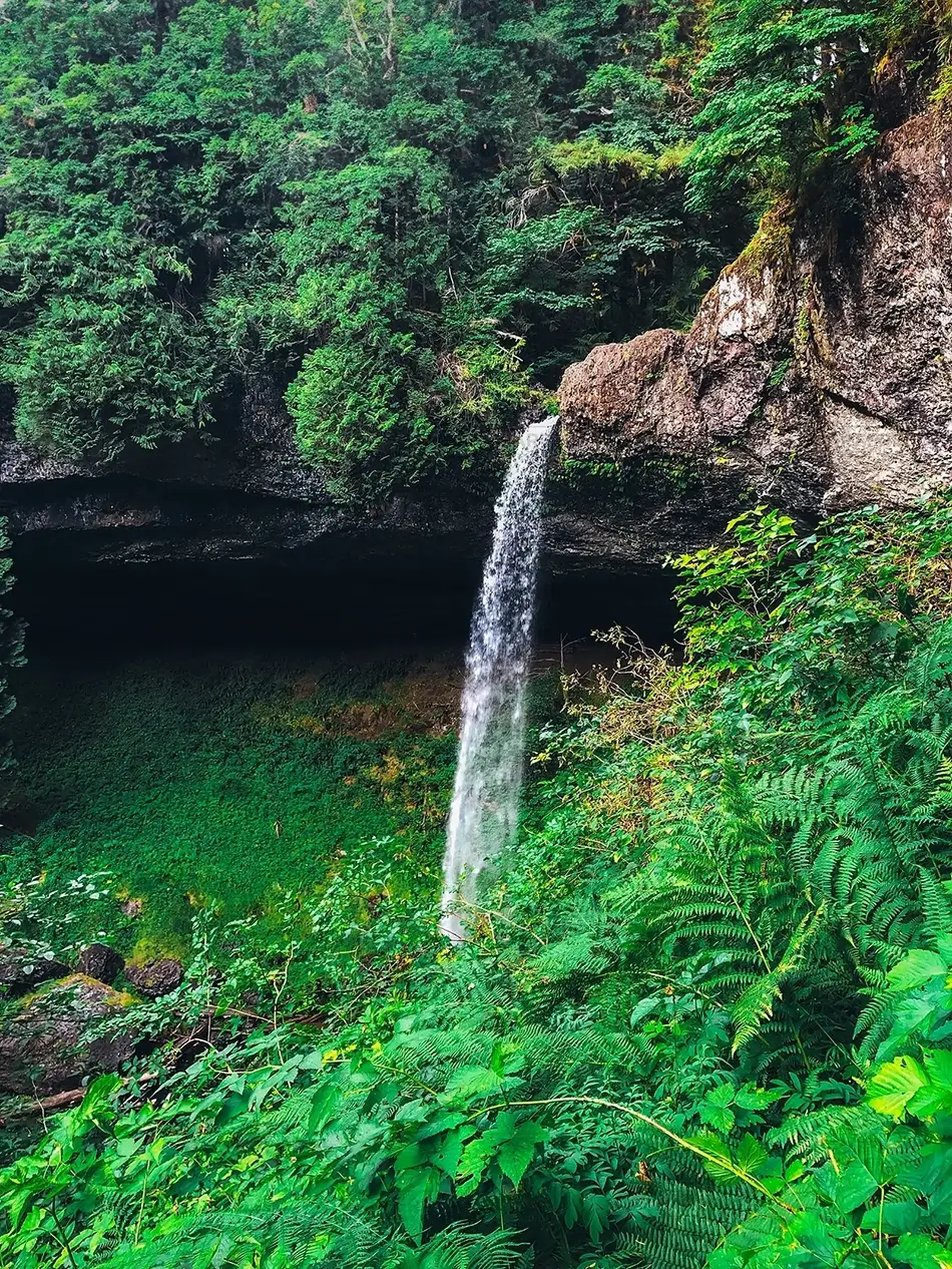 Silver Falls State Park Forest Quietude, Drake Crossing, Oregon · United States