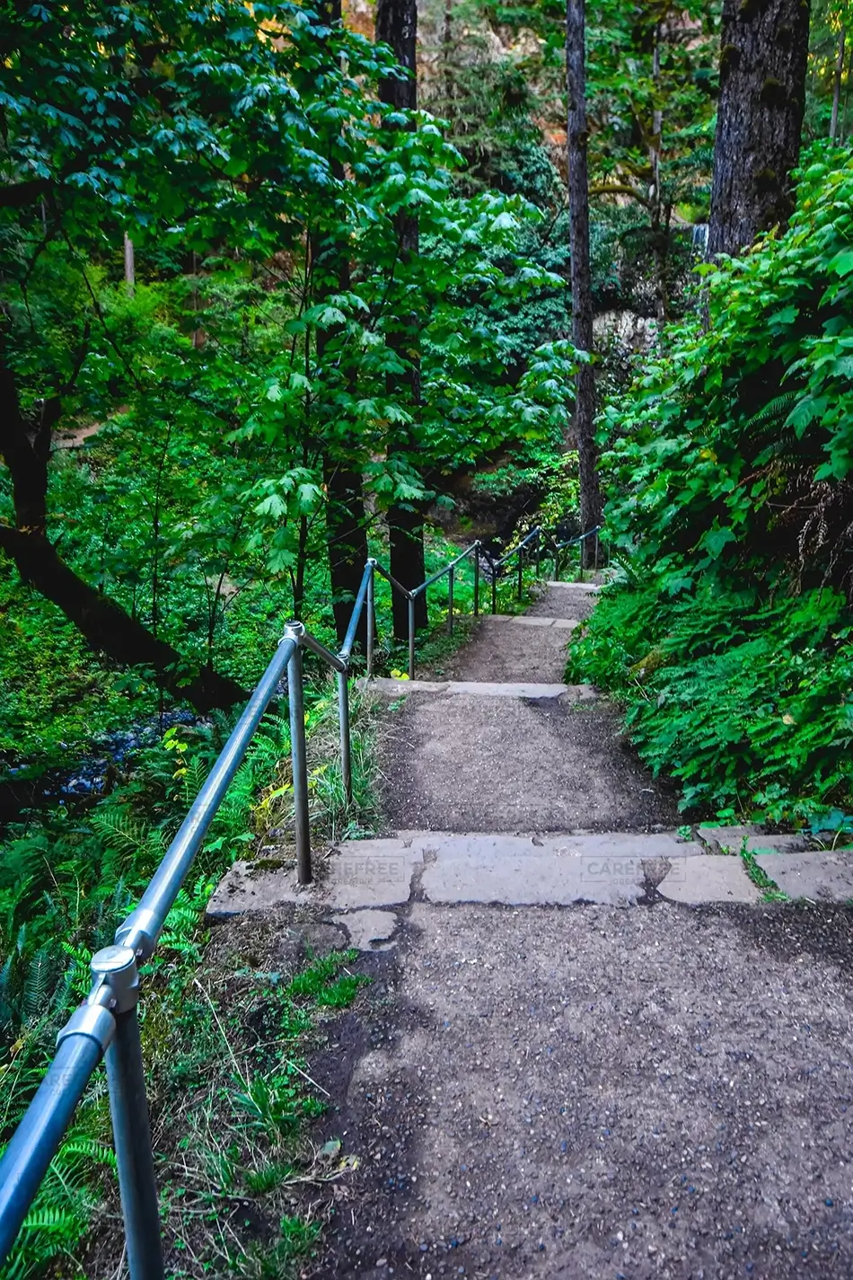 Silver Falls State Park Green Stairway, Drake Crossing, Oregon · United States