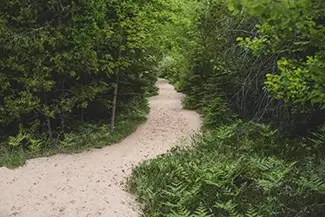 Sleeping Bear Dunes National Lakeshore Winding Sandy Forest Trail, Empire, Michigan