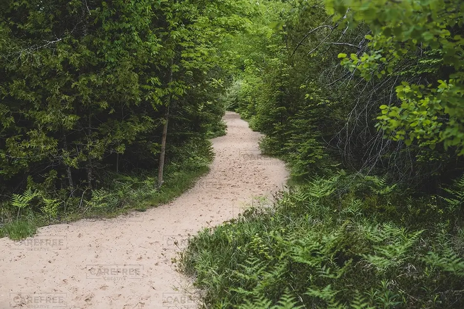 Sleeping Bear Dunes National Lakeshore Winding Sandy Forest Trail, Empire, Michigan · United States