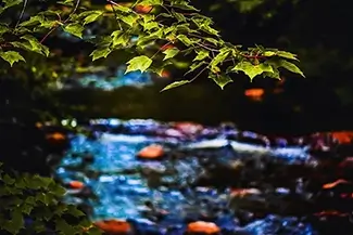 Smalls Falls Green Leaves River Background, Township E, Maine