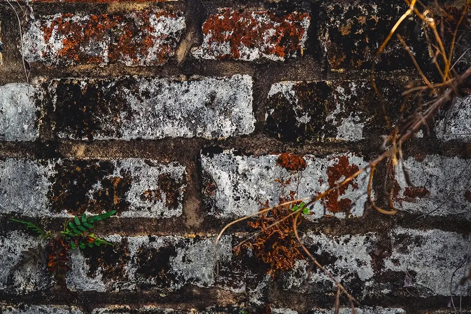 St Louis Cemetery No 1 Aged Brick Wall Texture, New Orleans, Louisiana · United States