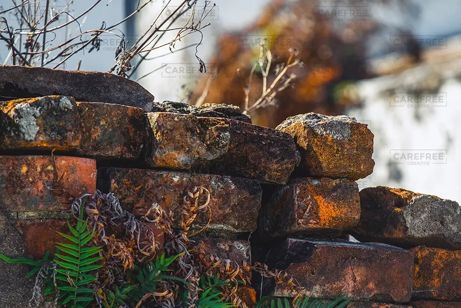 St Louis Cemetery No 1 Weathered Brick Wall, New Orleans, Louisiana · United States