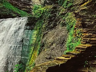 Stony Brook Cascading Water Steps, Dansville, New York