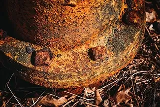 Rust Enveloped in Nature, Waltham, Massachusetts