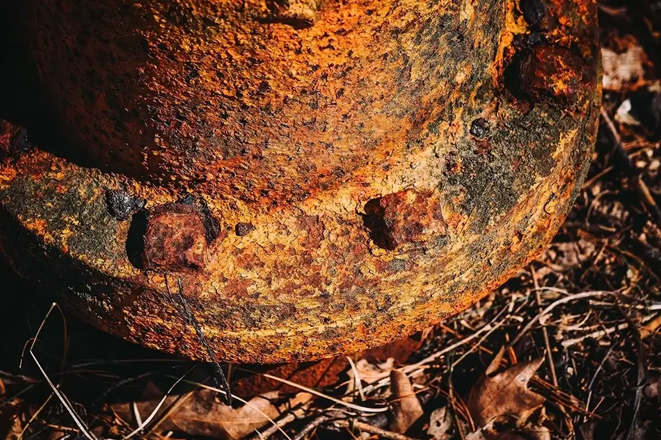 Rust Enveloped in Nature, Waltham, Massachusetts · United States