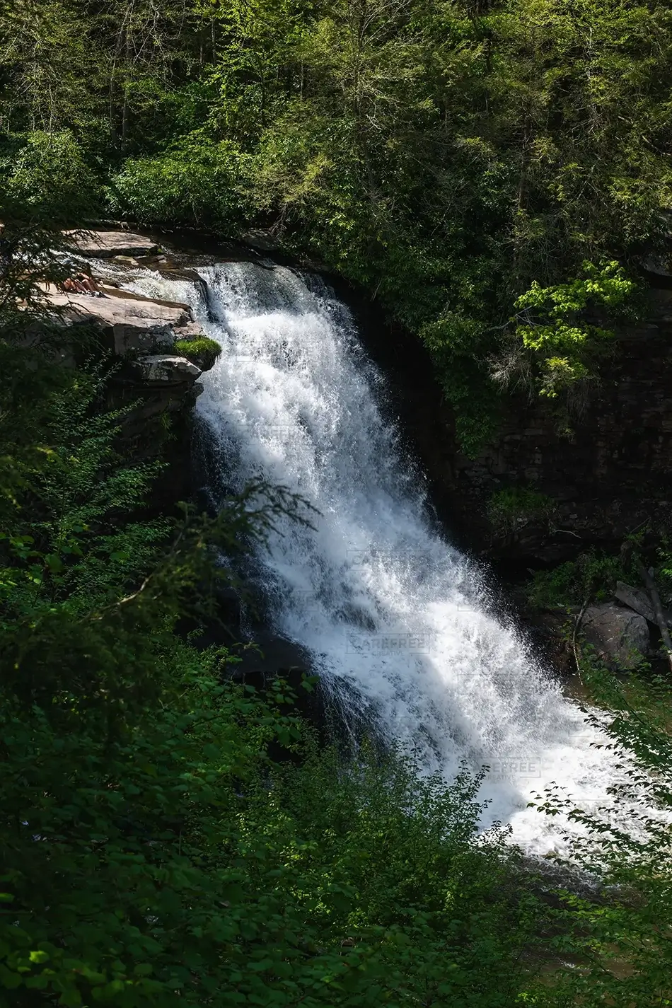 Swallow Falls State Park Waterfall